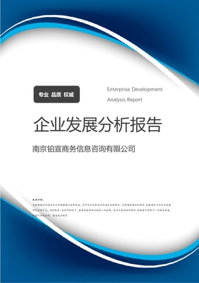 南京鉑宣商務(wù)信息咨詢企業(yè)發(fā)展分析報(bào)告